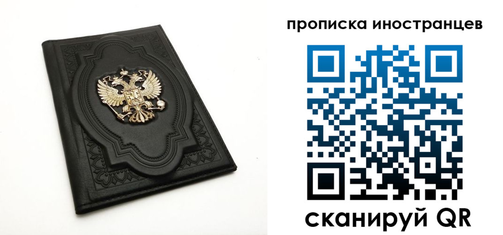прописка иностранных граждан в Алексеевке